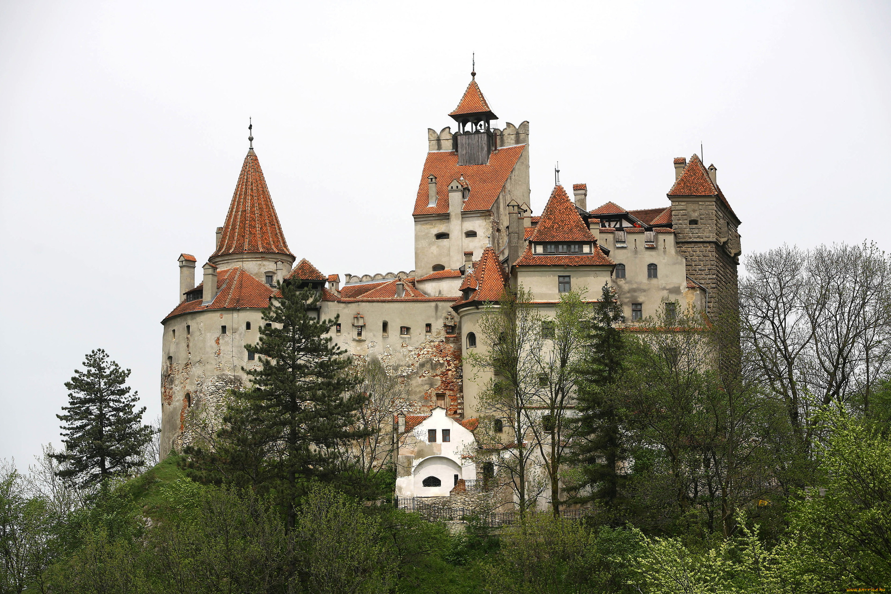 bran castle , , - ,  ,  , , castle, bran, , 